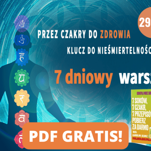czakry warsztat