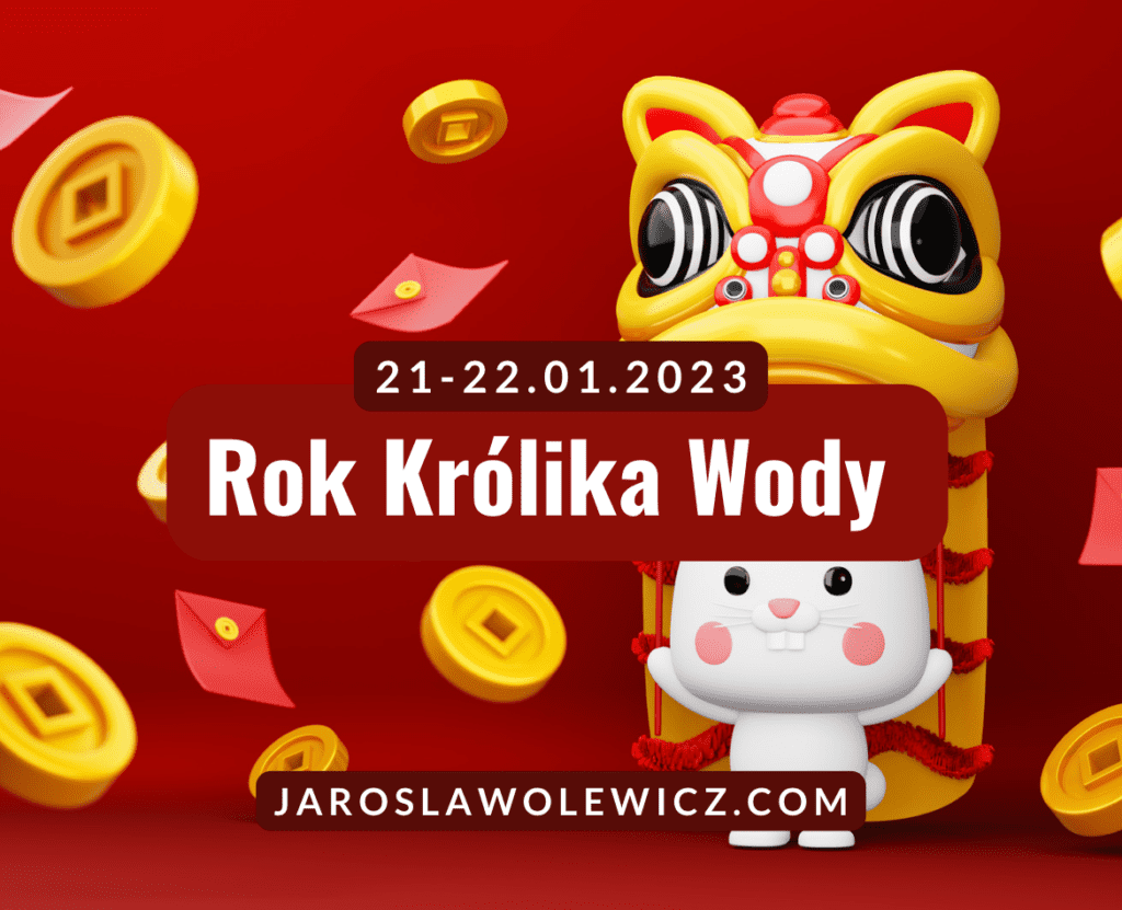 rok królika wody